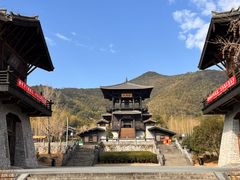 -大唐贡茶院