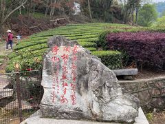 -敬亭山风景名胜区