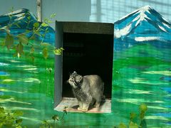 -青藏高原野生动物园