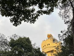 -大金鹰园