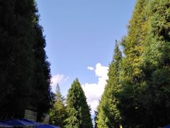 -山王坪喀斯特国家生态公园