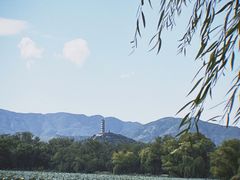 -颐和园