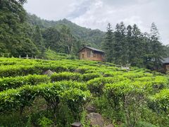 -姑婆山旅游区