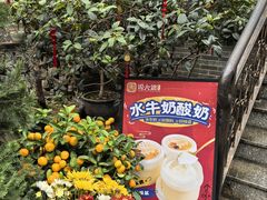 -周大娘牛乳(旧寨古村总店)