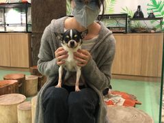 -藦茜花园宠物主题亲子互动体验馆(国顺东路店)