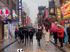 -黑色经典臭豆腐·湖南特产(步行街店)