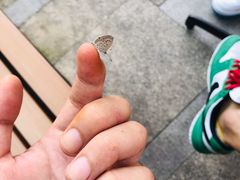 -星巴克臻选(杭州西溪印象城店)