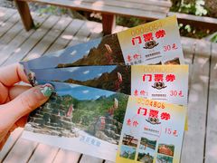 -大岭沟猕猴桃谷风景区