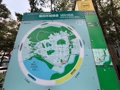 -福田红树林生态公园