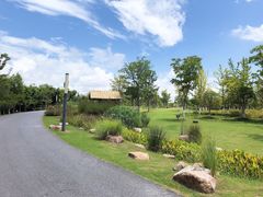 -上海长兴岛郊野公园