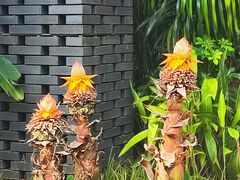 -云溪植物园
