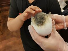-肆月河豚·新淮扬(金融街店)