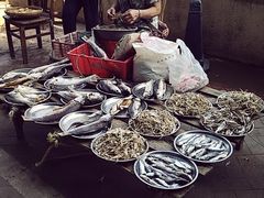 -南沙十九涌渔人码头-南门