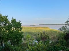 -上海吴淞炮台湾国家湿地公园