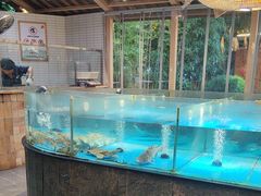 -耕渔小院·湖南鱼鲜(望城店)