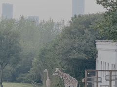 -合肥野生动物园