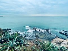 -漳州滨海火山岛自然生态风景区