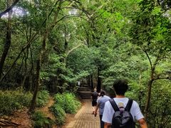-紫金山山顶公园