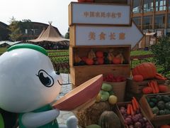 -中国天府农业博览园