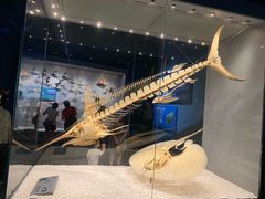 -贝林大翅鲸简餐厅(国家海洋博物馆店)