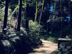 -深圳仙湖植物园