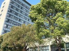 -上海市第一人民医院(松江南部)