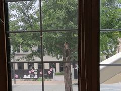 -天正河鲀·河豚亭(大连店)