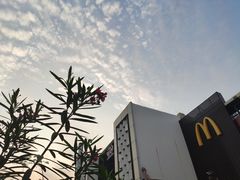 -麦当劳(电白服务区店)