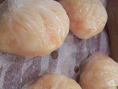 -糖朝(尖沙咀店)