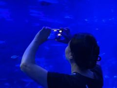 -江和美海洋公园