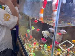 -叶存利海鲜大馅饺子(海宁路总店)