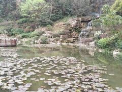 -铁山坪森林公园