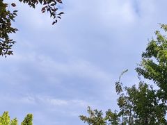 -北龙湖湿地公园