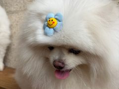 -龙湖重庆时代天街