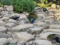 -无锡动物园·太湖欢乐园