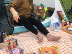 -前小桔亲子创意农场·草莓采摘·露营烧烤