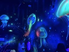 -沈阳海洋探索中心