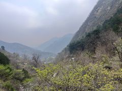 -幽岚山·童话森林