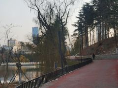 -南山公园