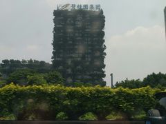 -碧桂园总部大楼