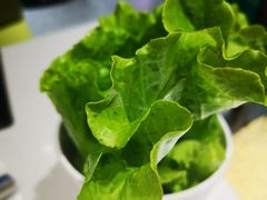 -古乐牛香·鲜牛肉牛杂火锅(新区店)