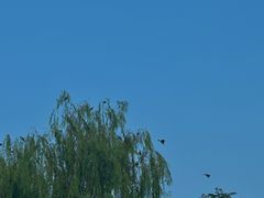 -艾溪湖湿地公园