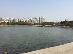 -新江湾城公园