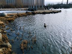 -前关湿地公园