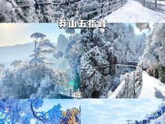 -广州长隆野生动物世界