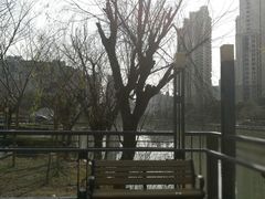 -苏州河梦清园环保主题公园