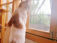 -猫的天空之城概念书店(苏州平江店)