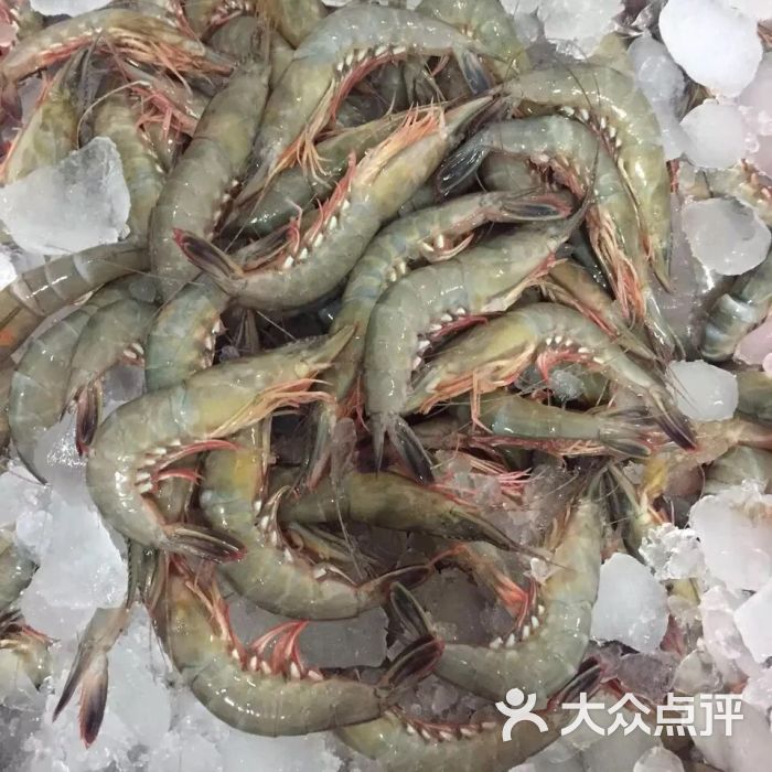 东海野生条虾/斤