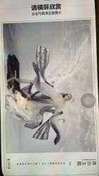 -盘子女人坊古装写真摄影(厦门总店)