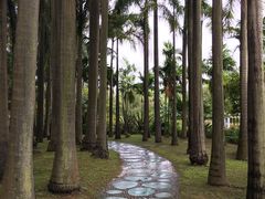-滴水岩森林公园